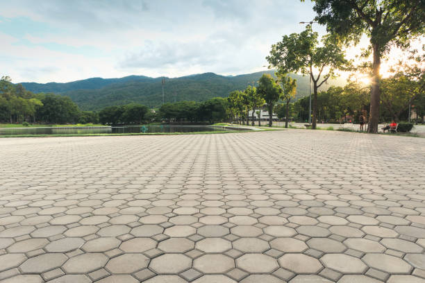 Best Custom Driveway Pavers  in Whiteville, TN